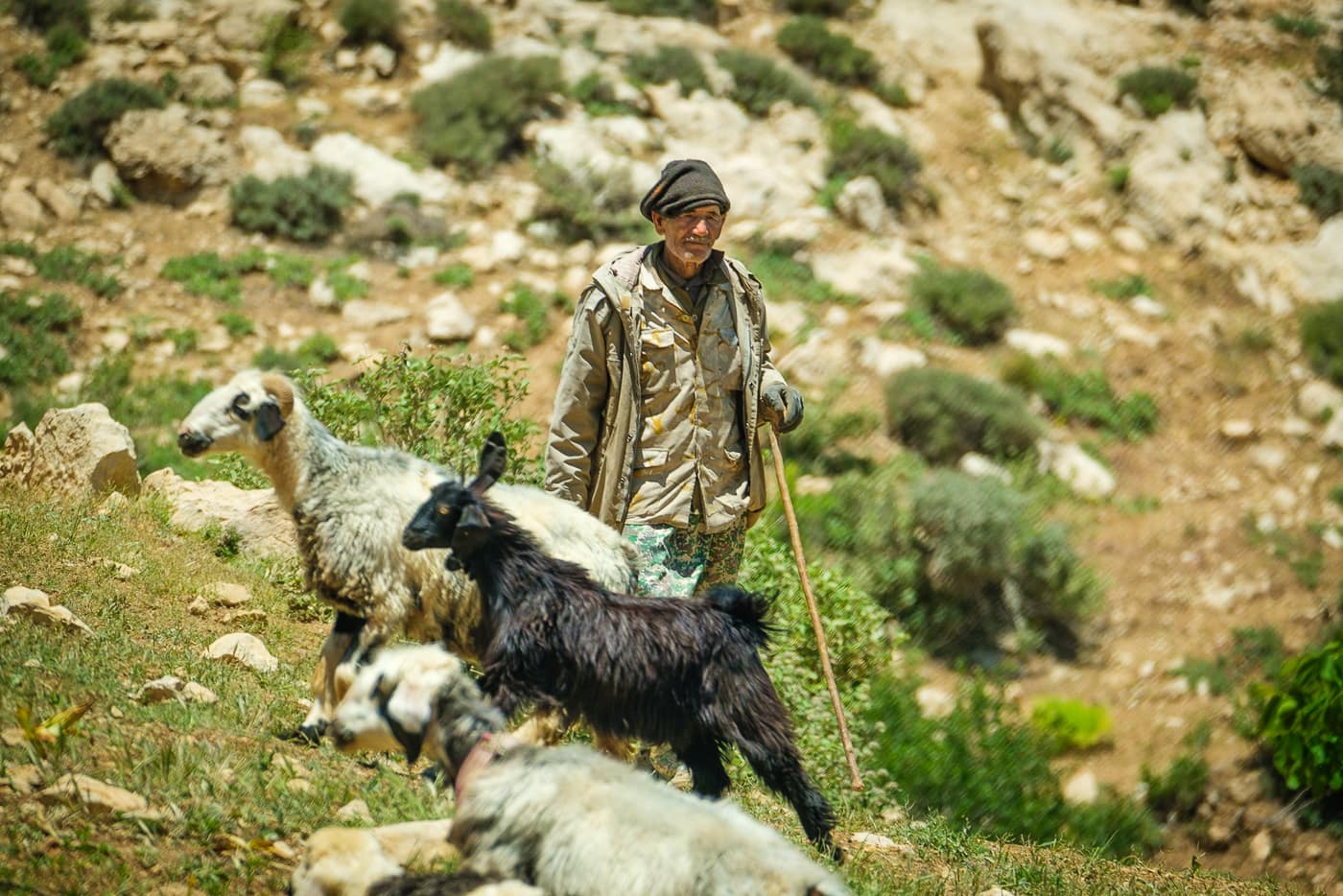 hiking trip iran zagros mountains nomads
