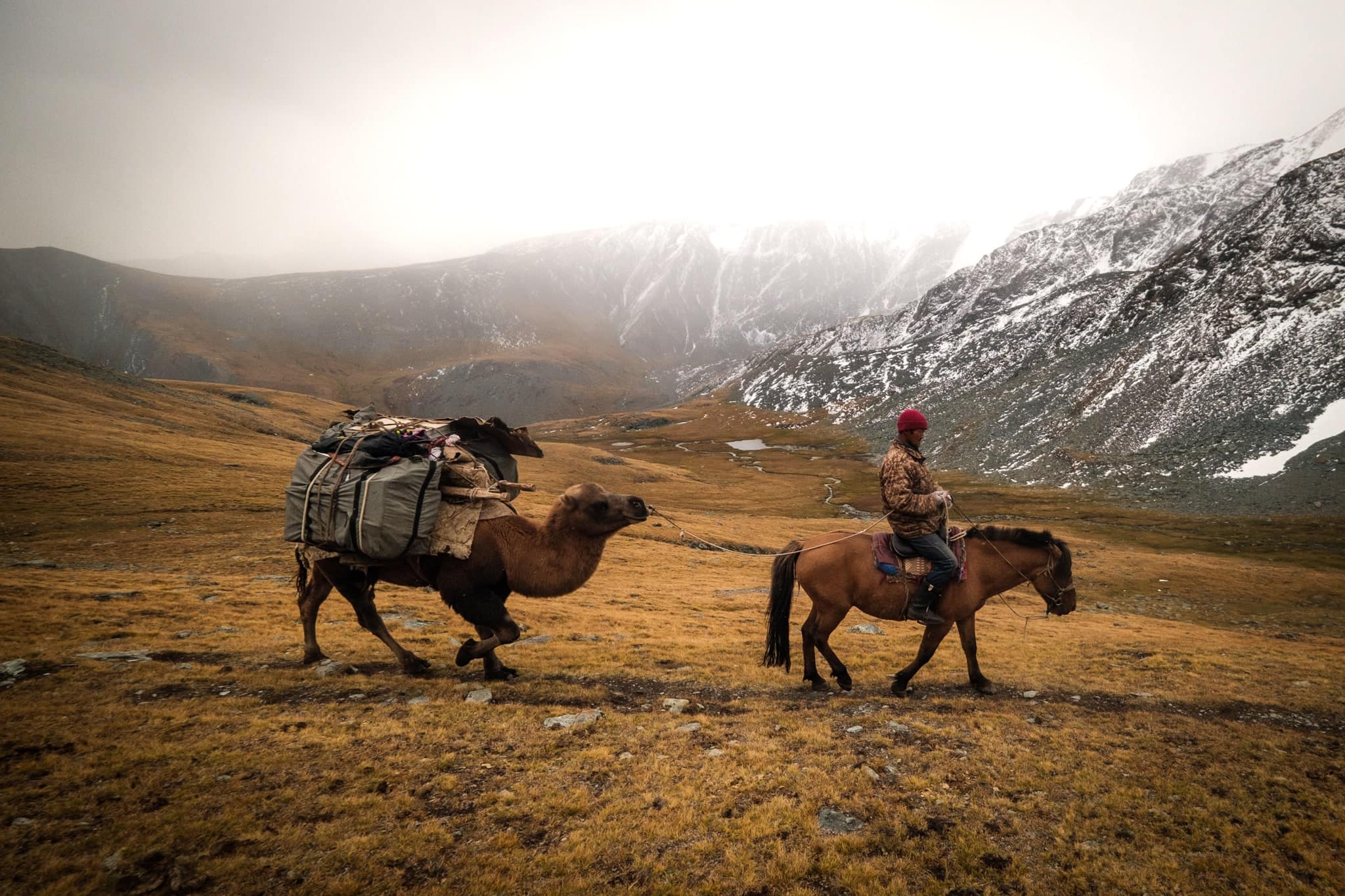 horse trekking in Mongolia